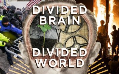 Divided Brain, Divided World