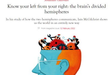 Know your left from your right: the brain’s divided hemispheres