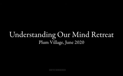 Understanding Our Mind Retreat, Plum Village, June 2020 (Part 1)