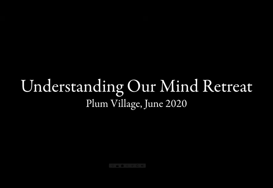 Understanding Our Mind Retreat, Plum Village, June 2020 (Part 2)