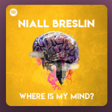 Niall Breslin #115 – Our Divided Brain with Dr Iain McGilchrist