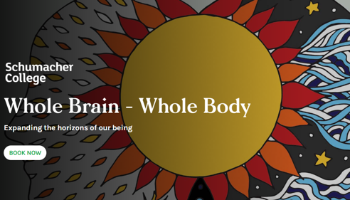 Whole Brain – Whole Body, expanding the horizon of our being