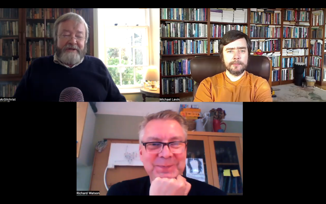 Iain McGilchrist, Michael Levin and Richard Watson conversation 2