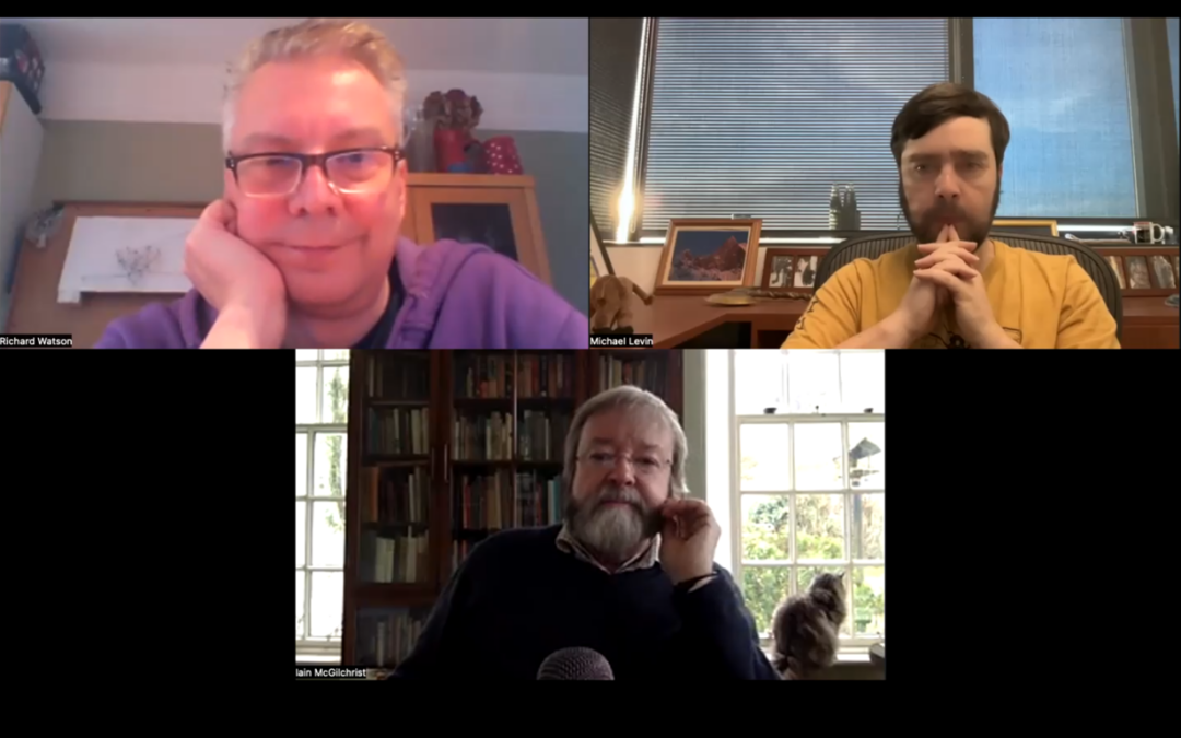 Iain McGilchrist, Michael Levin and Richard Watson conversation 3