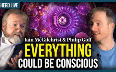 Iain McGilchrist & Philip Goff: Is the universe conscious?